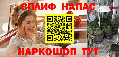 круглые Кингисепп