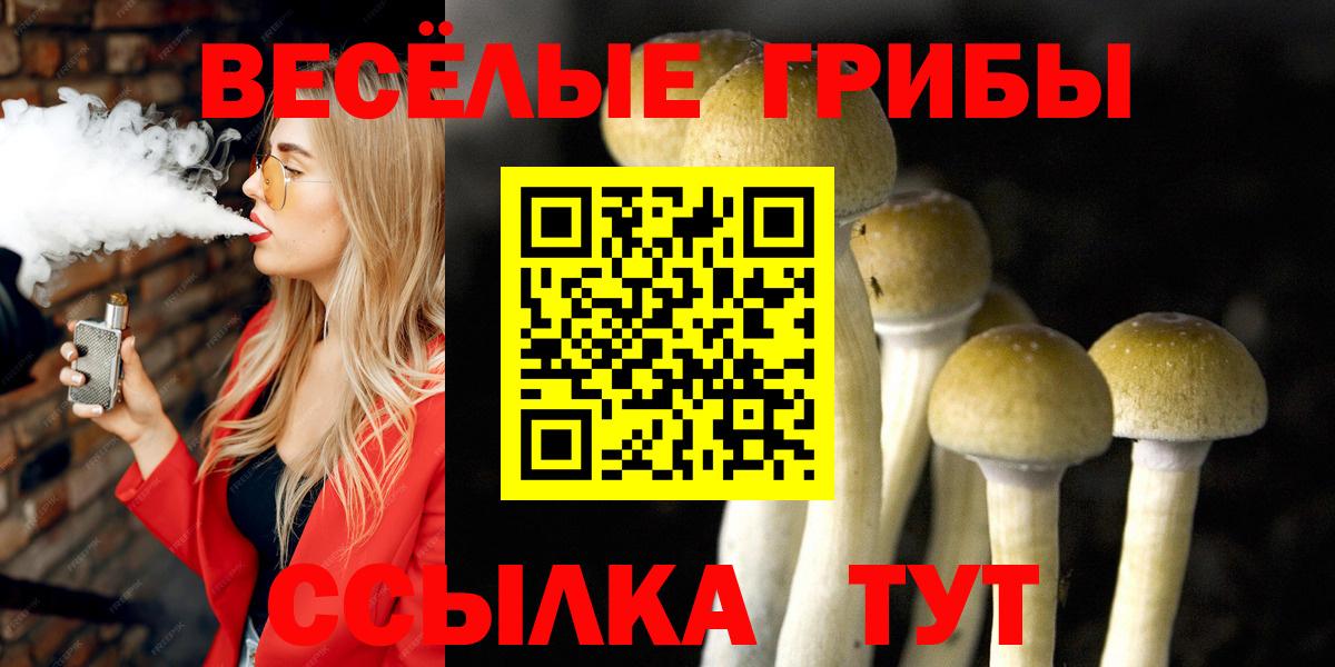 Кыштым  Галлюциногенные грибы Cubensis  Вход с VPN 