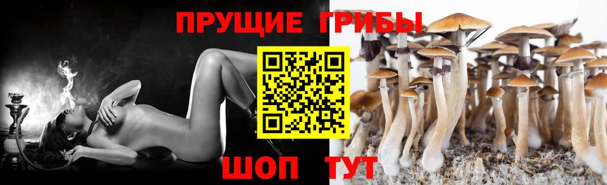 Галлюциногенные грибы ЛСД Кыштым